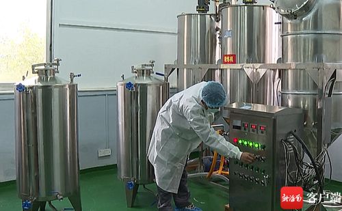 五指山油茶加工廠升級設備，榨出“致富油”助推鄉村振興